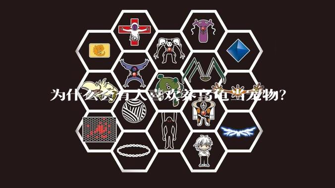 为什么会有人喜欢养乌龟当宠物？