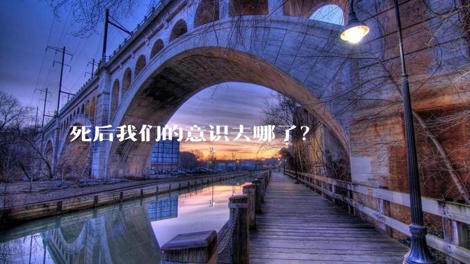 死后我们的意识去哪了？