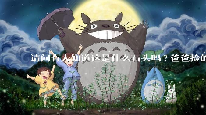 请问有人知道这是什么石头吗?爸爸捡的?