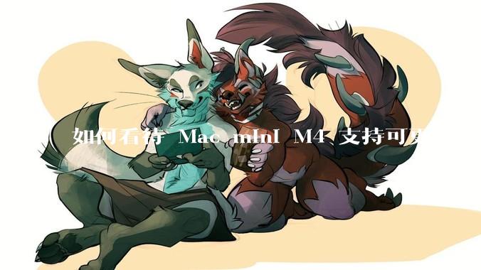 如何看待 Mac mini M4 支持可更换 SSD？