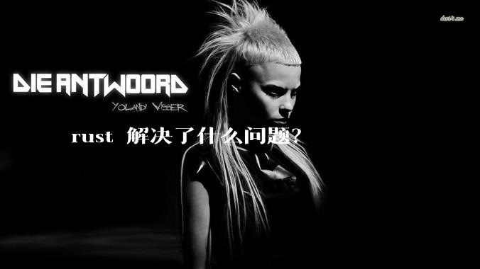 rust 解决了什么问题？