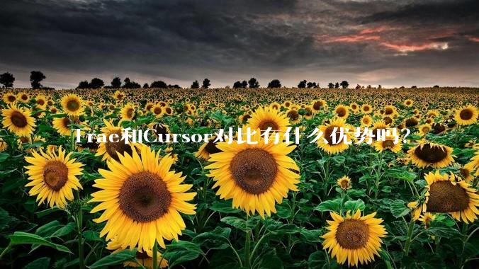 Trae和Cursor对比有什么优势吗？