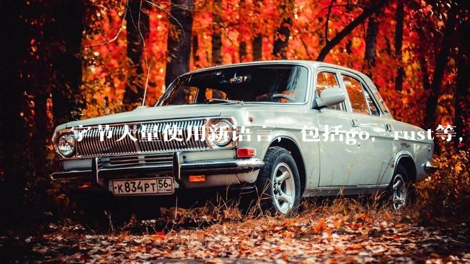 字节大量使用新语言，包括go，rust等，为什么阿里一直都抱着j***a不松手？