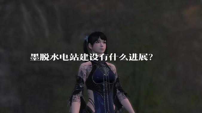 墨脱水电站建设有什么进展？