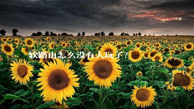 软路由怎么没有人玩了？