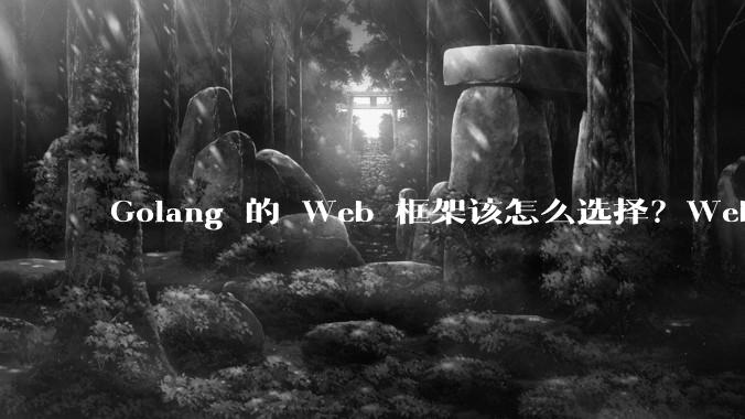 Golang 的 Web 框架该怎么选择？Web 开发又该怎样学？