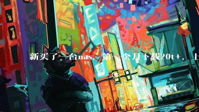 新买了一台nas，第一个月下载20t+，上传5+，不会被网警盯上吧?