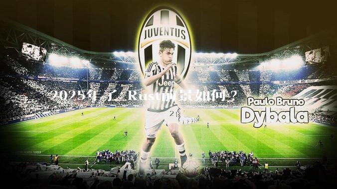 2025年了 Rust前景如何?