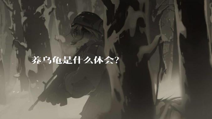 养乌龟是什么体会？